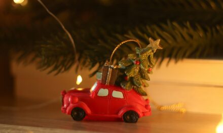 Grudzień 2025 w&nbsp;Dziale Socjoterapii.